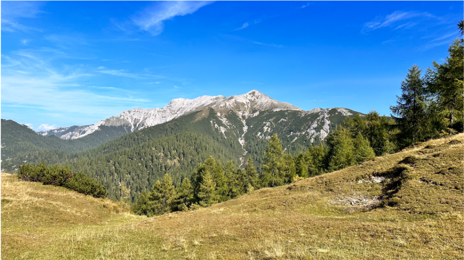 Bild Landschaft